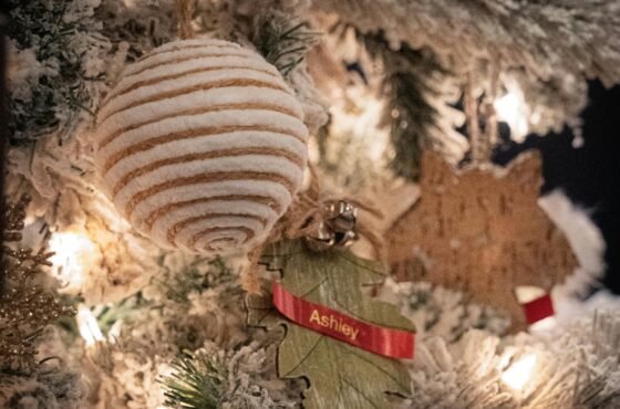 Foro Navideño 360 Puebla 2025 — Música y espectáculos en temporada navideña